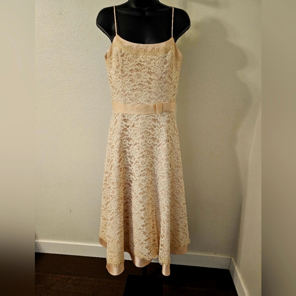 A.B.S. Evening by Allen Schwartz Pale pink with off white lace Sz 10